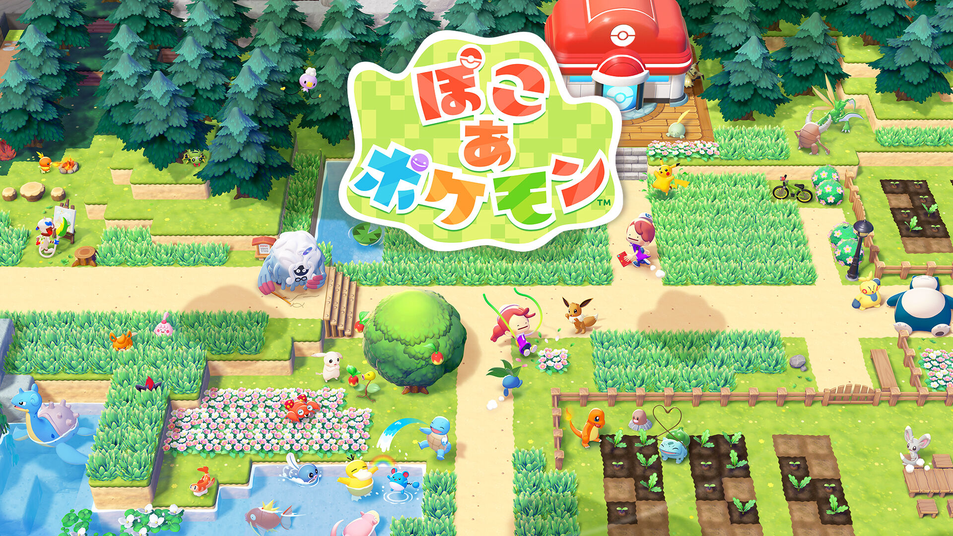ぽこ あ ポケモン | My Nintendo Store（マイニンテンドーストア）