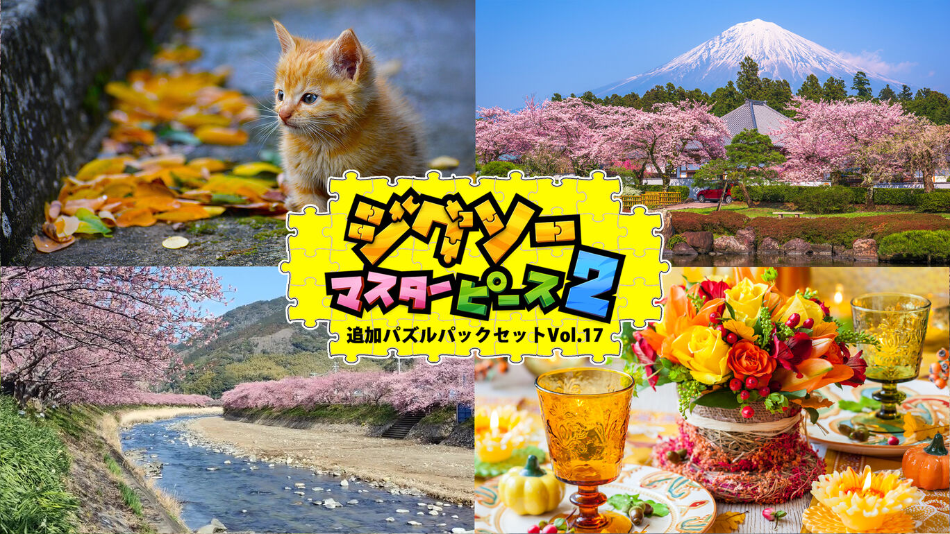 追加パズルパックセットVol.17