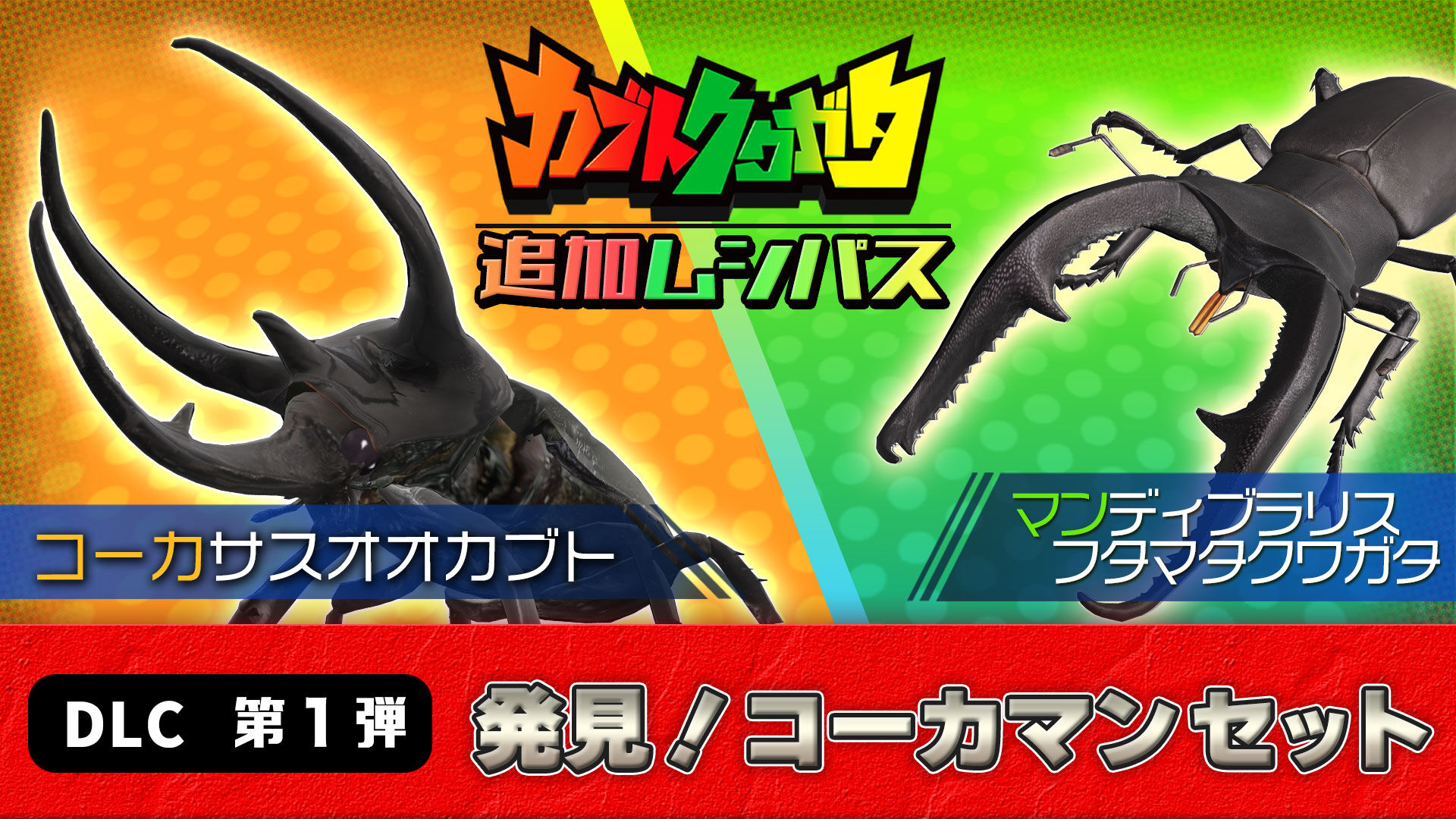 発見！コーカマンセット | Nintendo Store