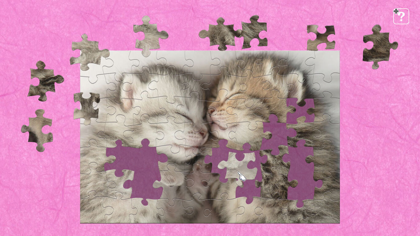 かわいい猫 My Nintendo Store マイニンテンドーストア