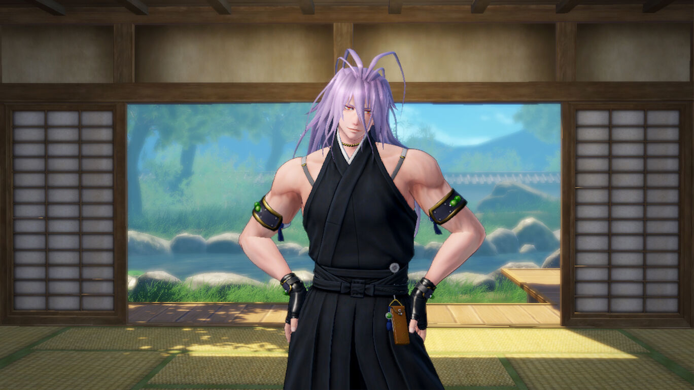 内番風装束 16種セット My Nintendo Store マイニンテンドーストア