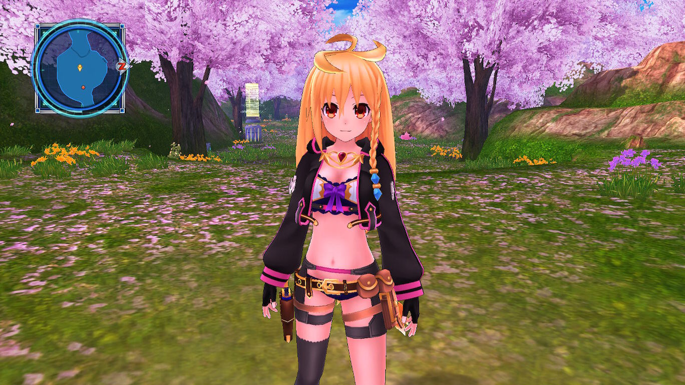 ミリオンアーサーちゃん コスチュームパック My Nintendo Store マイニンテンドーストア