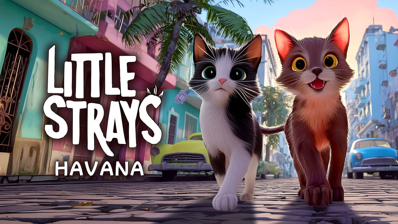Little Strays 迷子の小さな子猫たち: Havana