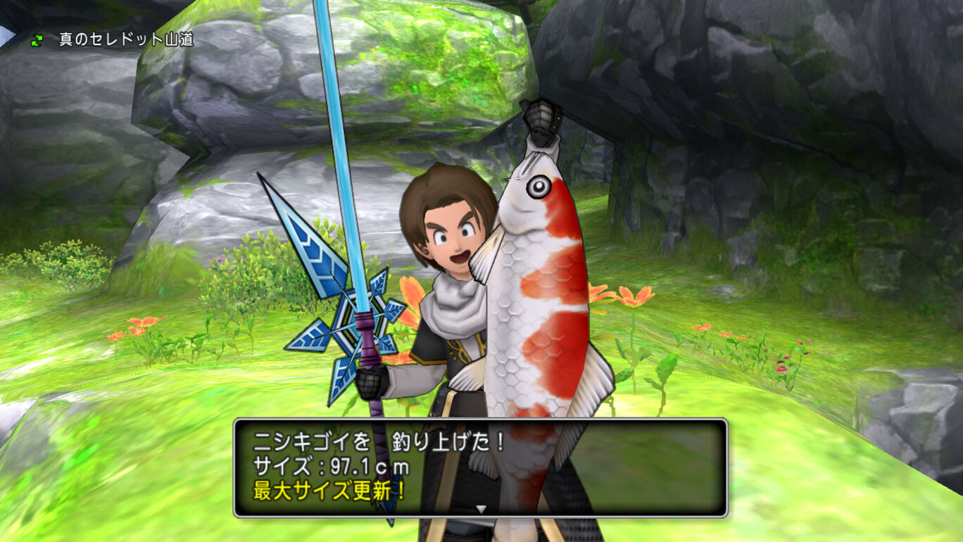 ドラゴンクエスト ベーシックパック ダウンロード版 My Nintendo Store マイニンテンドーストア