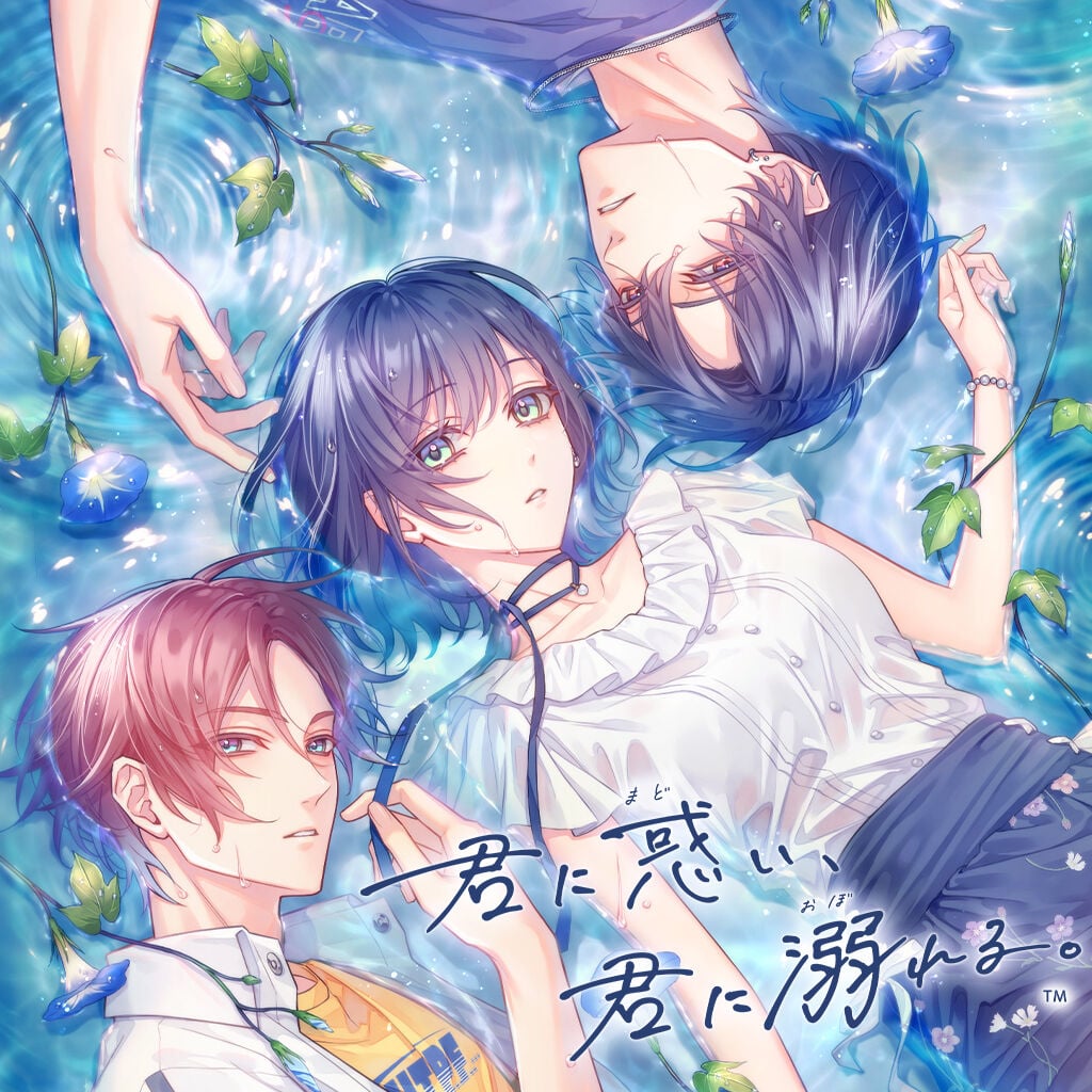 薄桜鬼 真改 風華伝 for Nintendo Switch | Nintendo Store