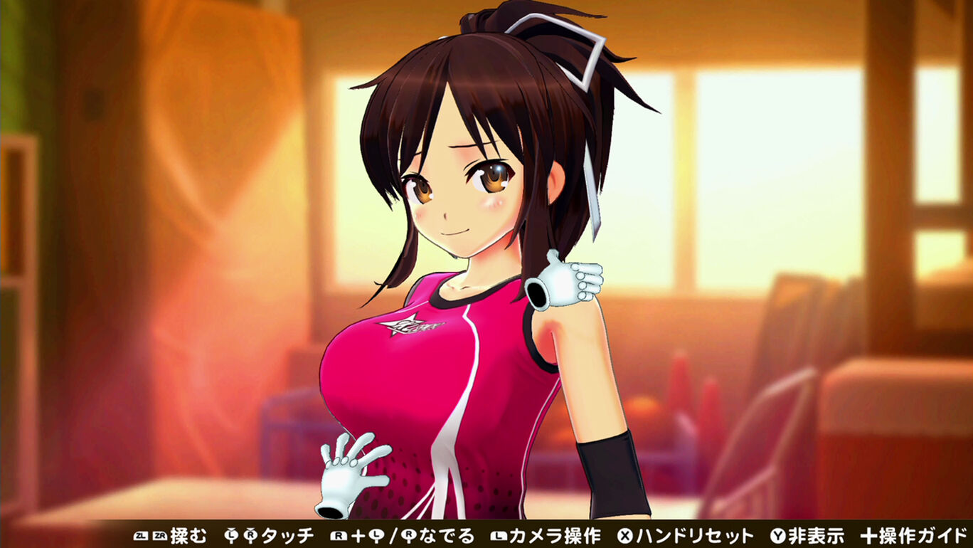 シノビリフレ Senran Kagura ダウンロード版 My Nintendo Store マイニンテンドーストア