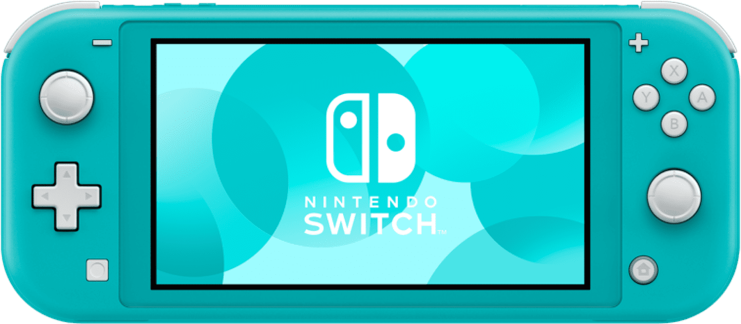 ミモザ様 本体のみ 長め Switch Lite ニンテンドー スイッチライト ブルー
