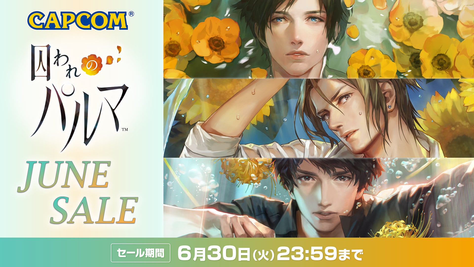 囚われのパルマ Refrain クリアファイル 布ポスター チアキ 限定 特典 
