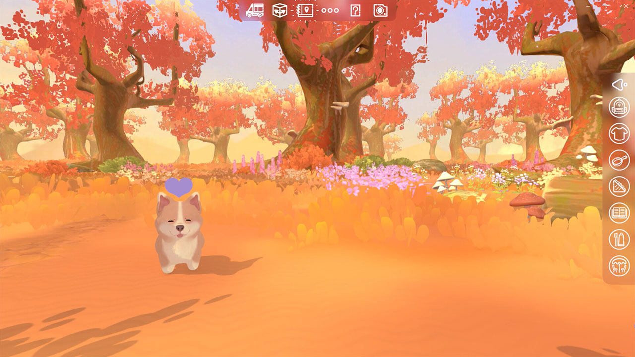 Camper Van 家にしよう