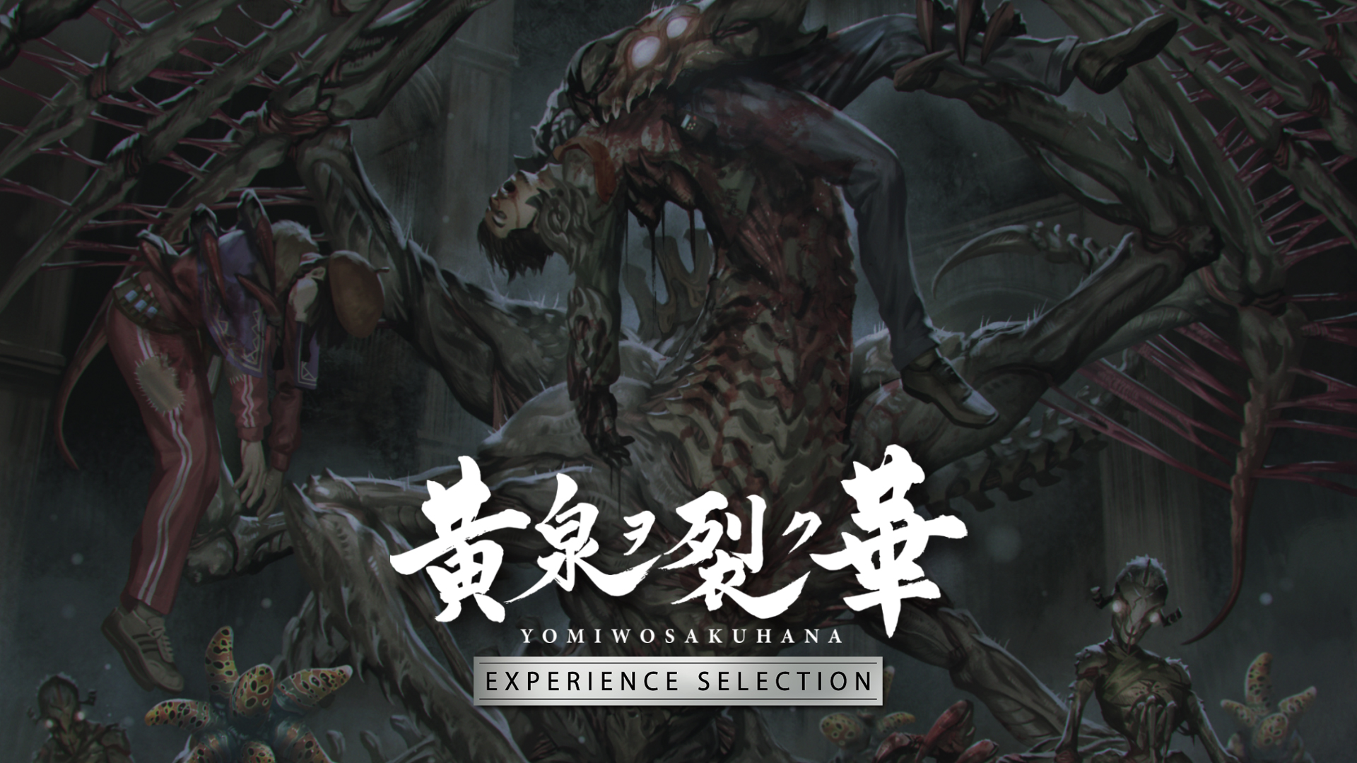 黄泉ヲ裂ク華 Nintendo Switch 黄泉ヲ裂ク華 | Nintendo Store
