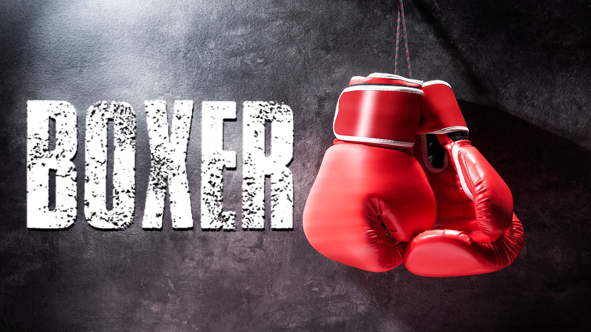 Boxer | Nintendo Store