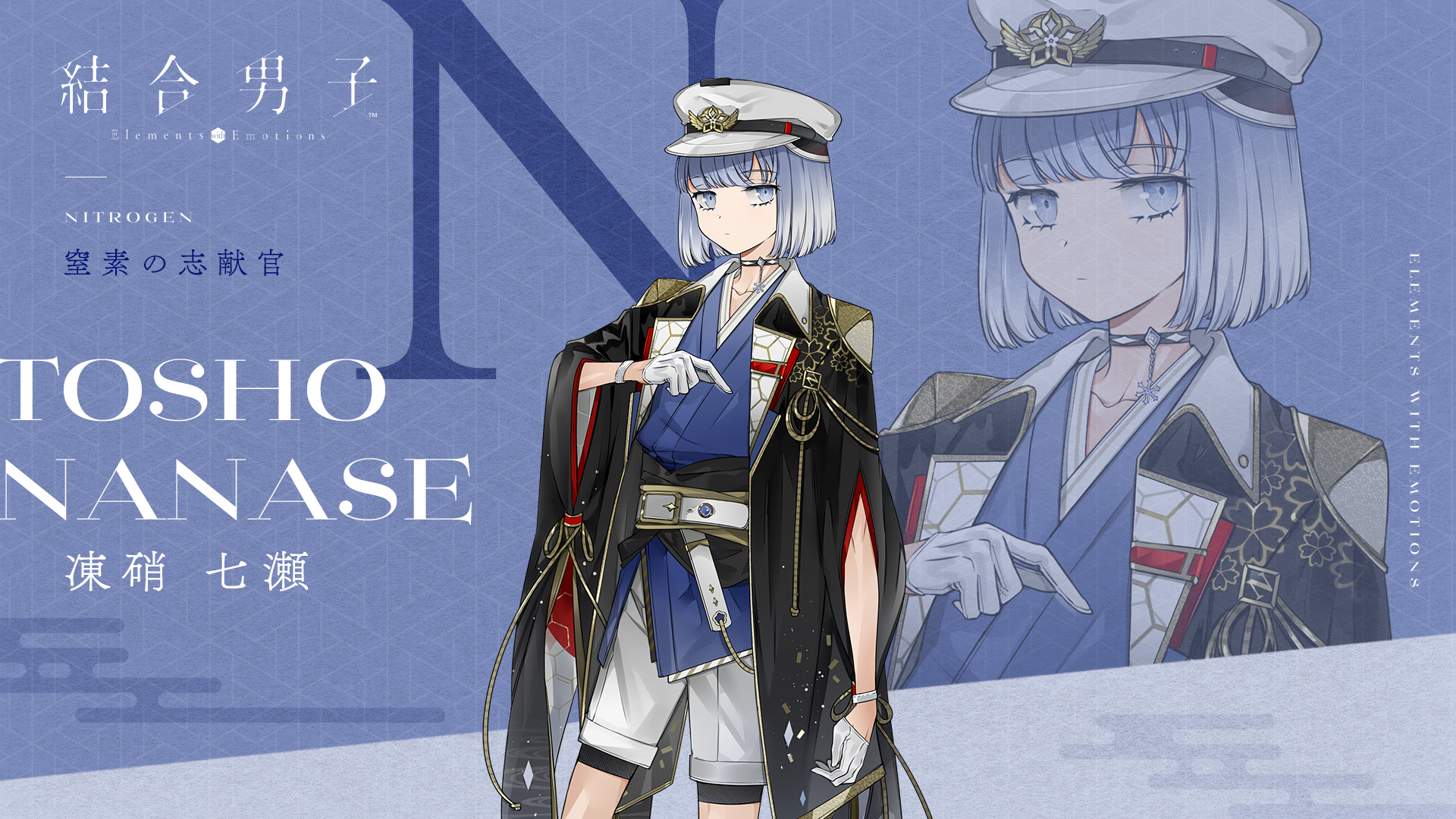 結合男子 | My Nintendo Store（マイニンテンドーストア）