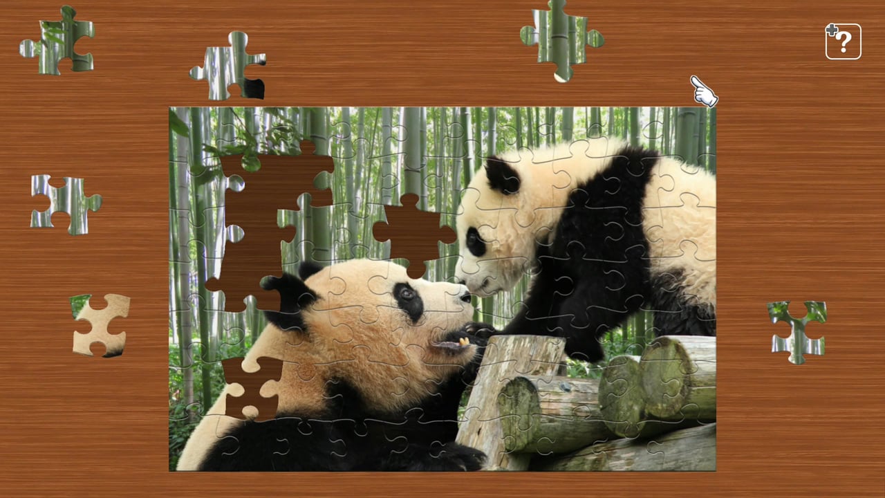 どうぶつの親子