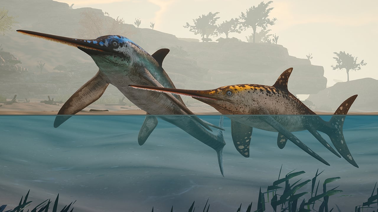 Path of Titansスタンダードファウンダーズパック