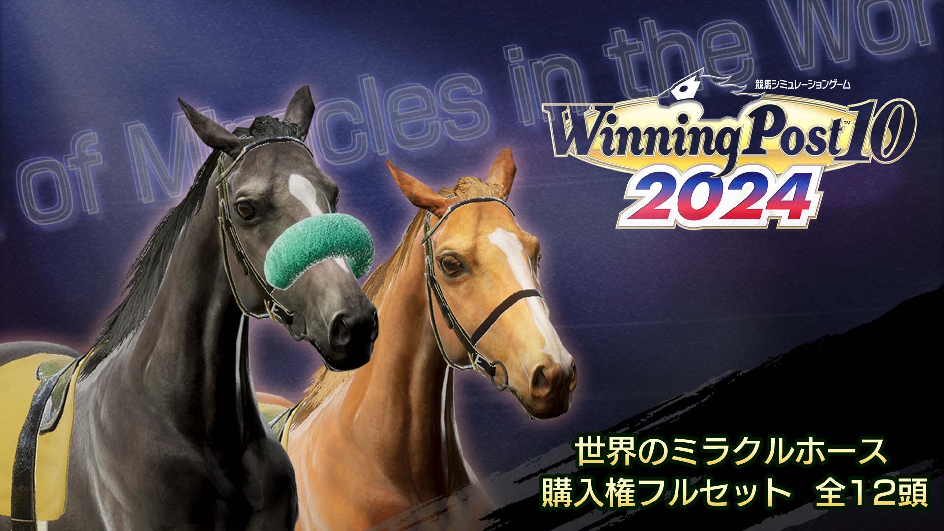 WP10 2024 世界のミラクルホース 購入権フルセット 全12頭