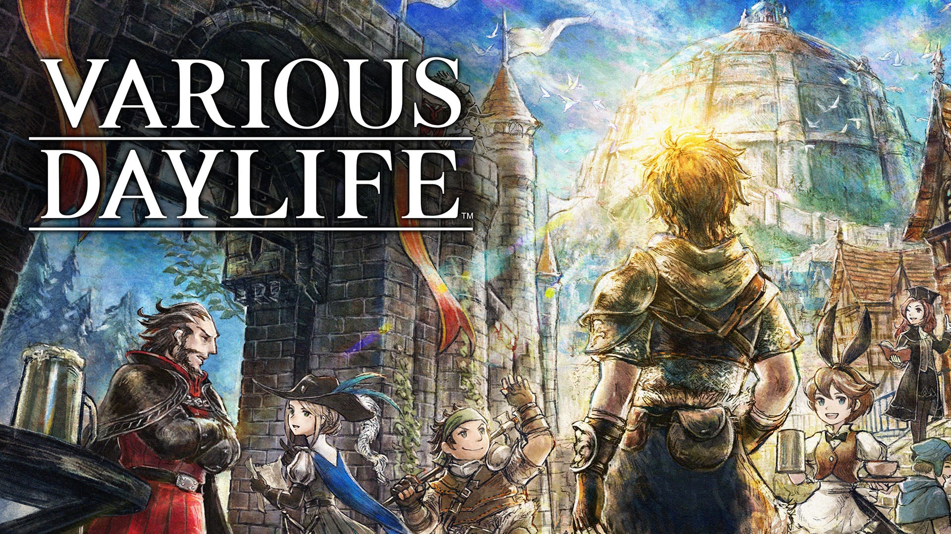 【希少品】新品未開封 バリアスデイライフ　VARIOUS DAYLIFE バリアスデイライフ | Nintendo Store