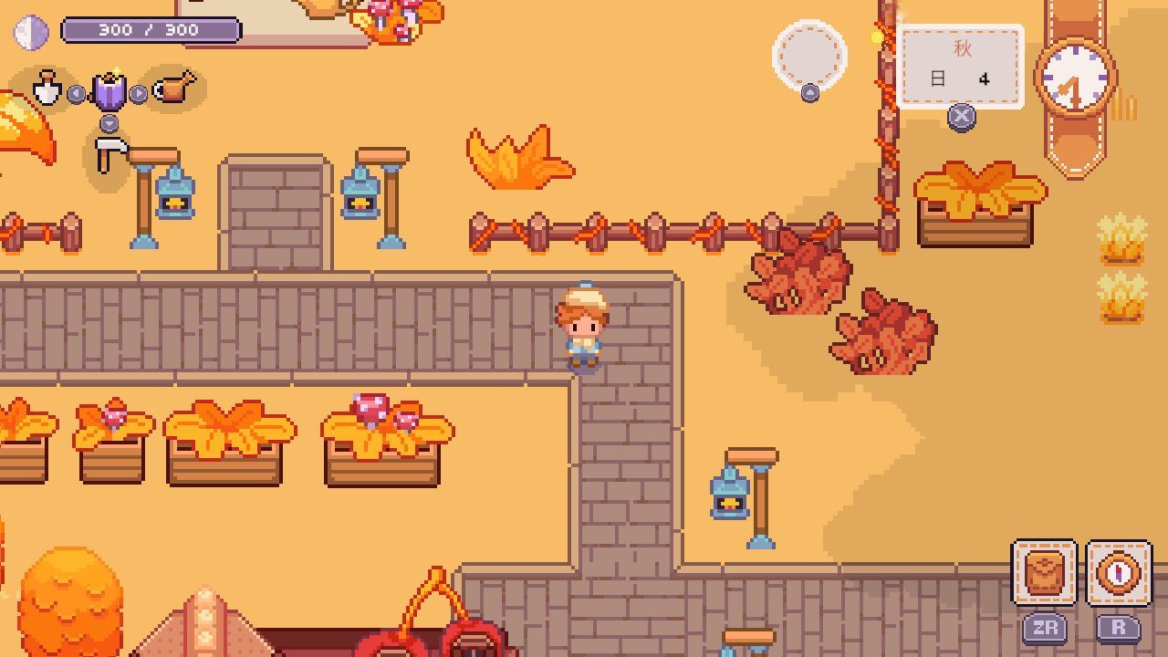 コージー　コンフォート　スタイル