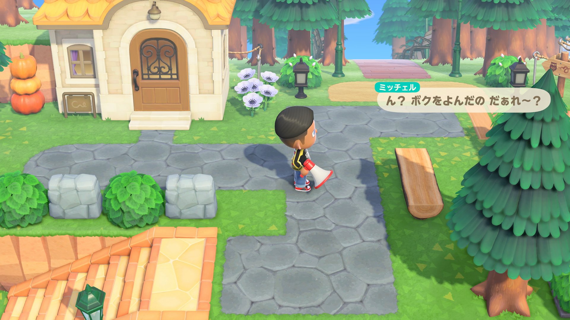 あつまれ どうぶつの森 Nintendo Switch 2 Edition アップグレードパス