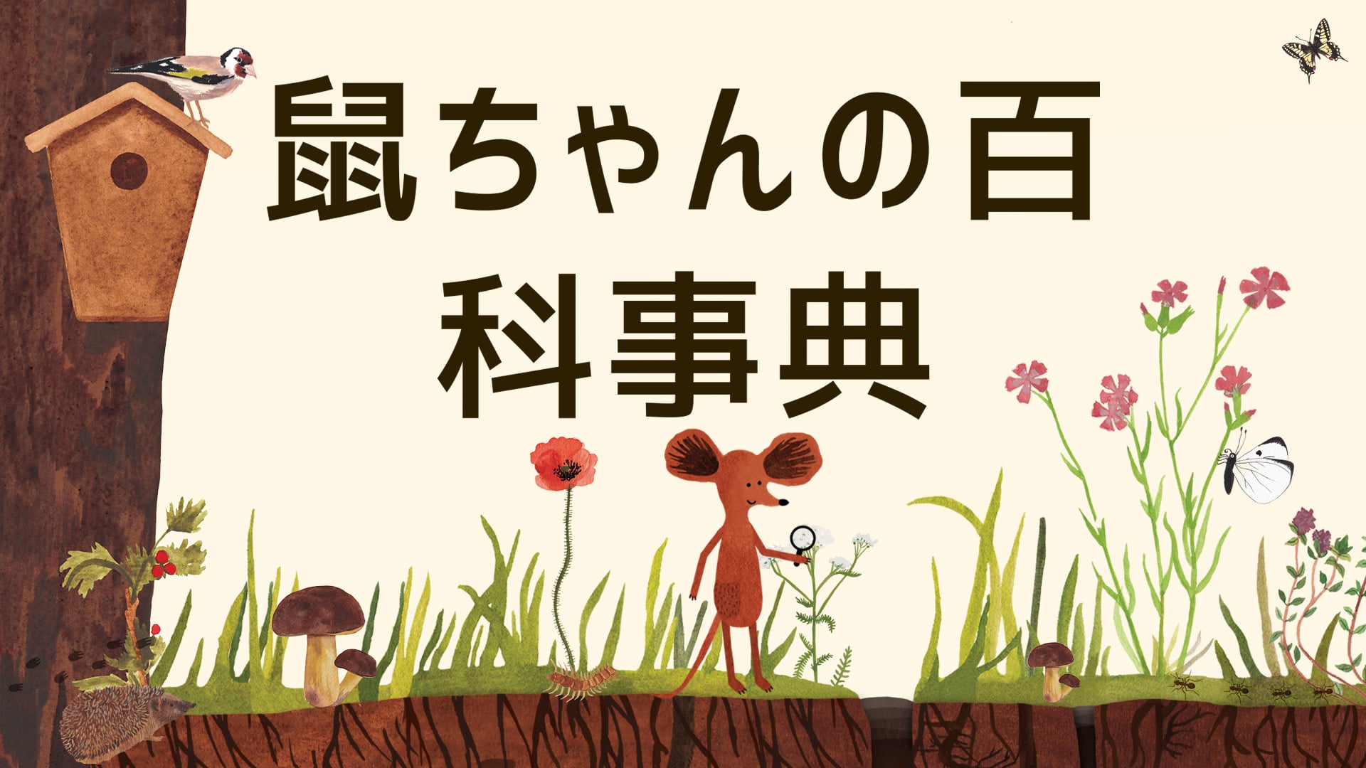 鼠ちゃんの百科事典 | Nintendo Store