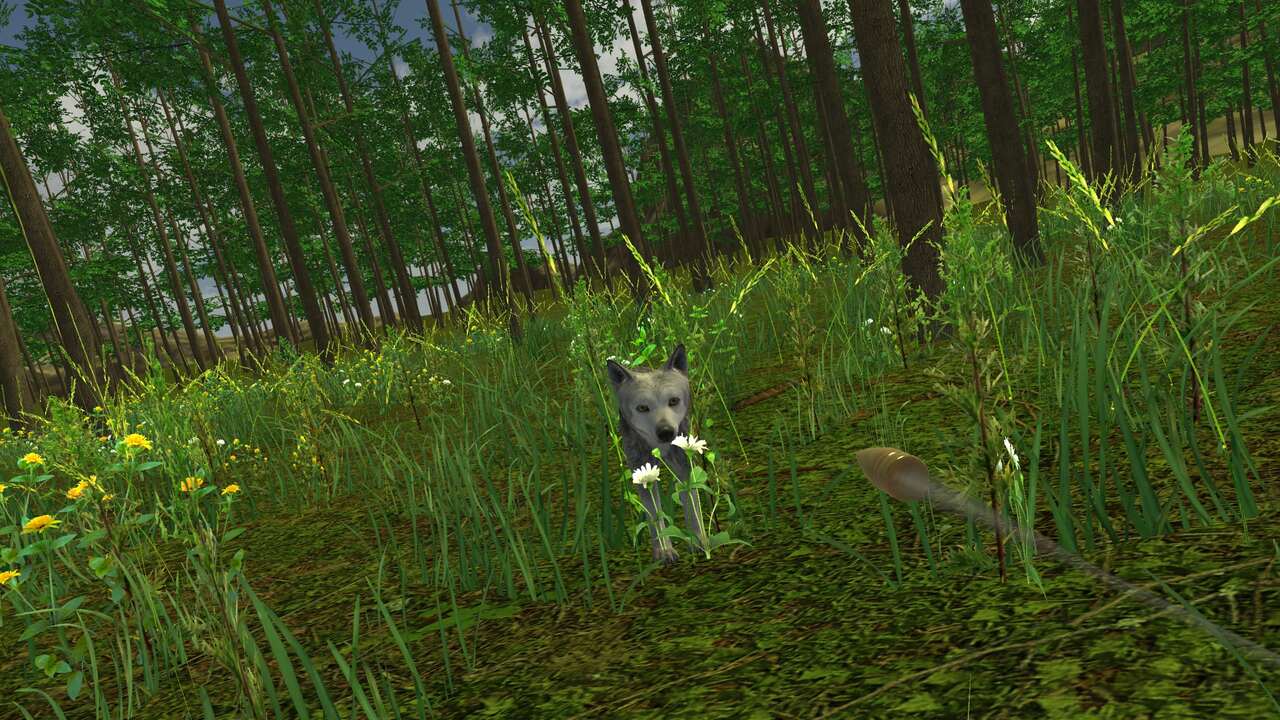 Hunter Simulator : Wild Hunting – Elite Sniper