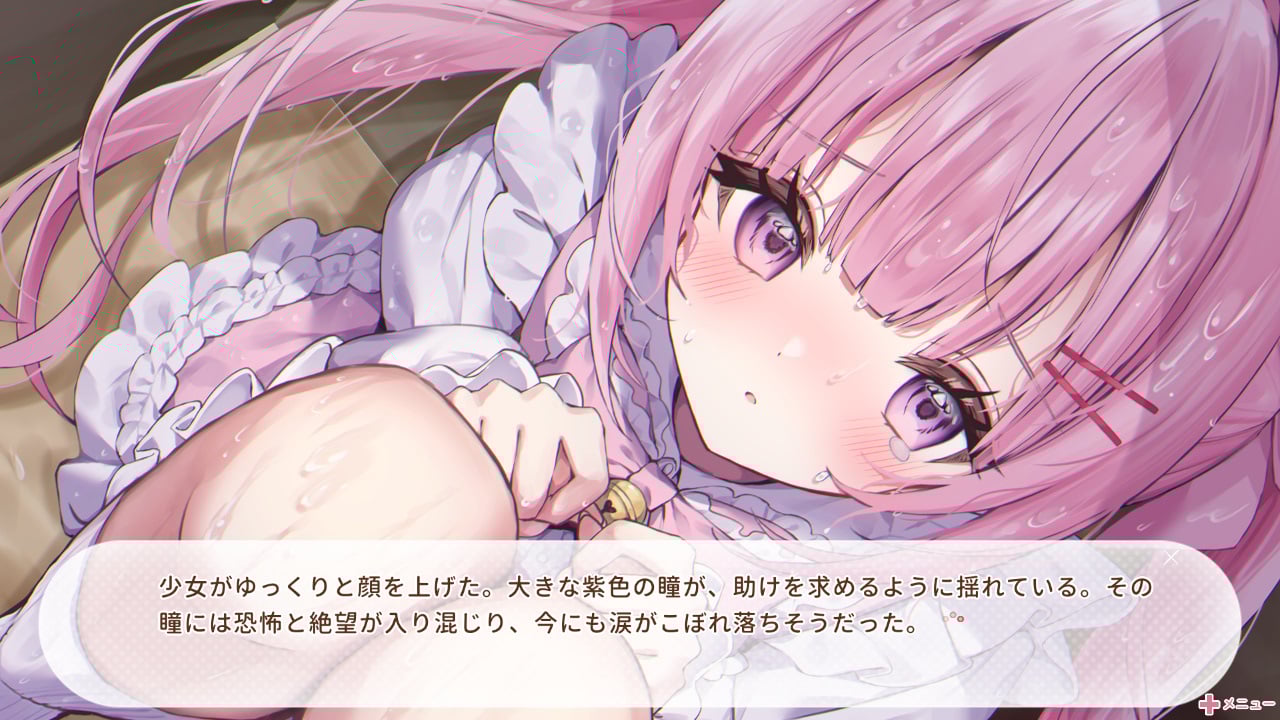 ねこみみ日和 ～君と過ごす365日～