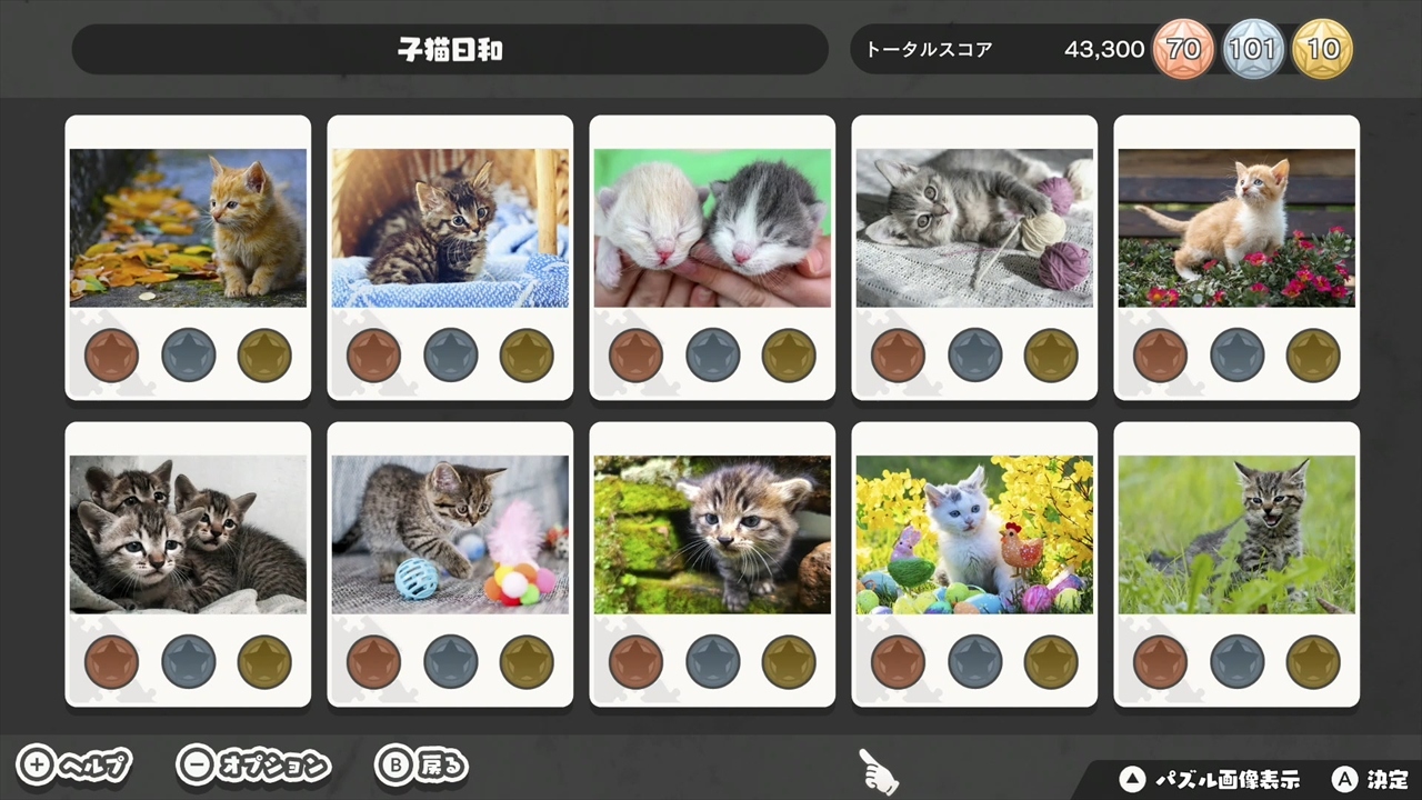 追加パズルパックセットVol.17