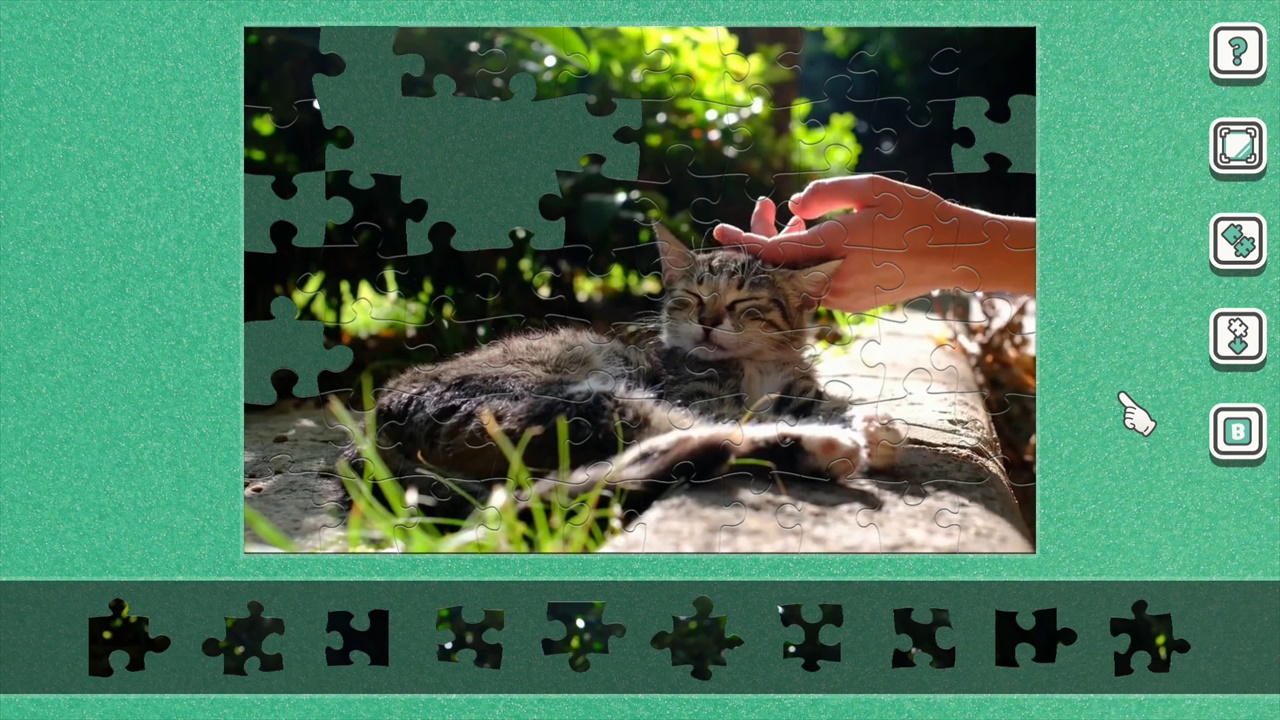 【動く】そとねこ