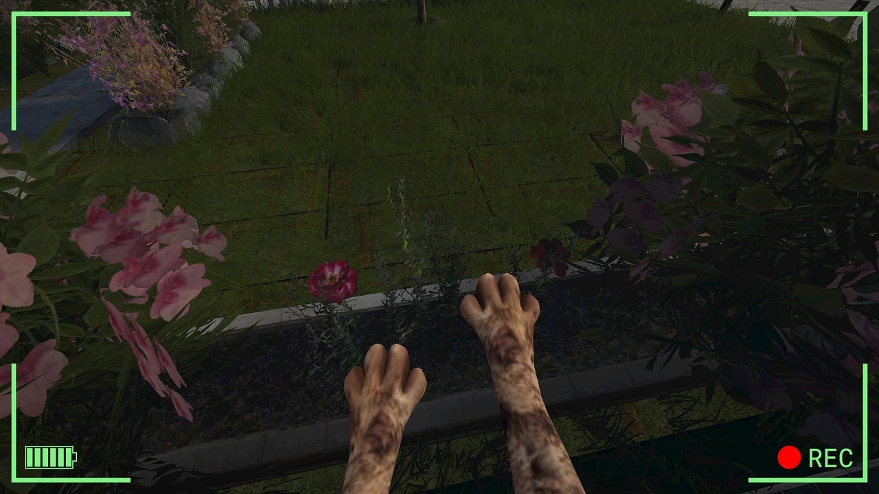 Bodycam Stray Kitty DELUXE