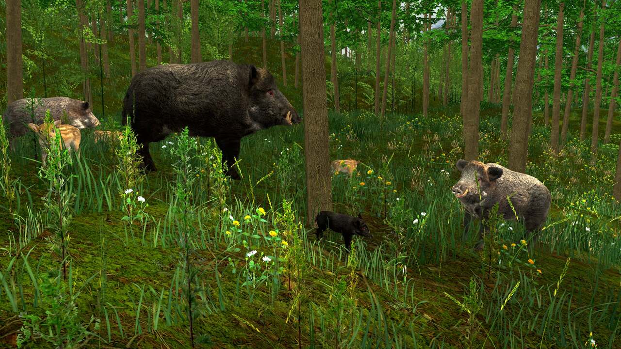 Hunter Simulator: Wild Hunting – Tactical Gloves