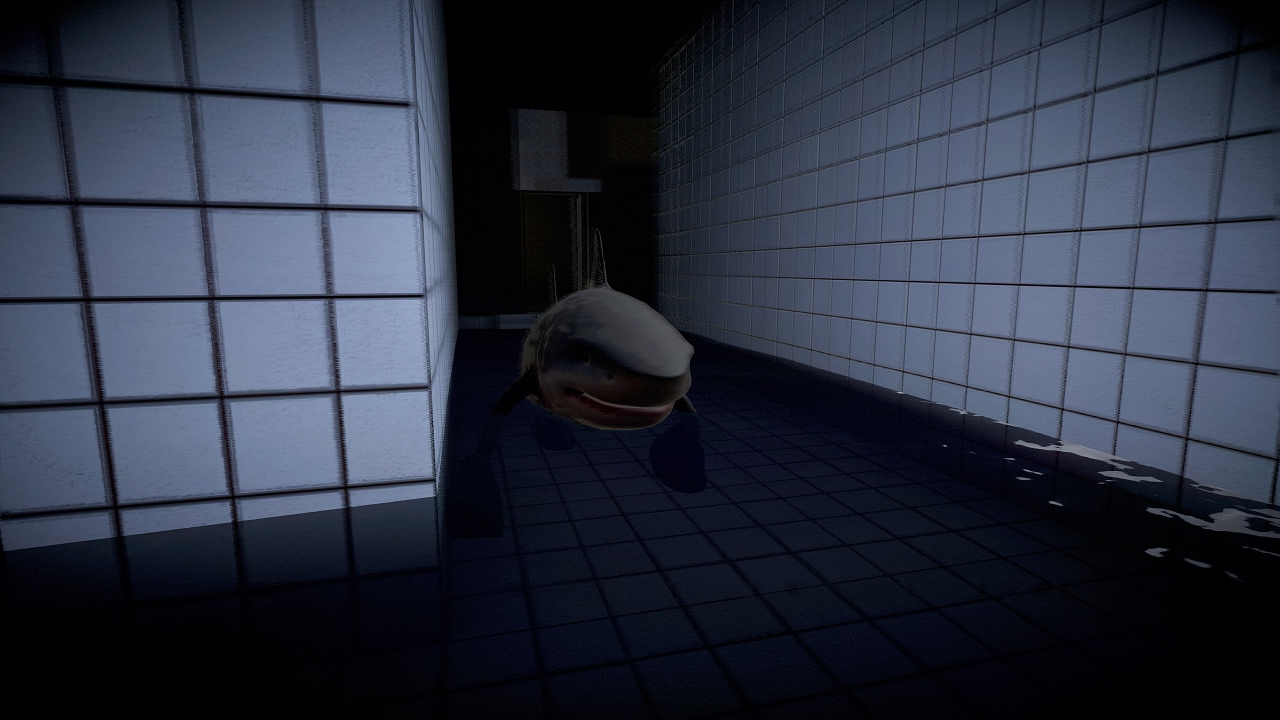  TRALALERO TRALALA BACKROOMS POOLS