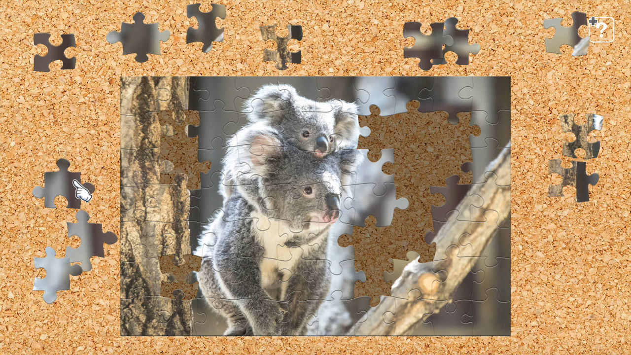 どうぶつの親子