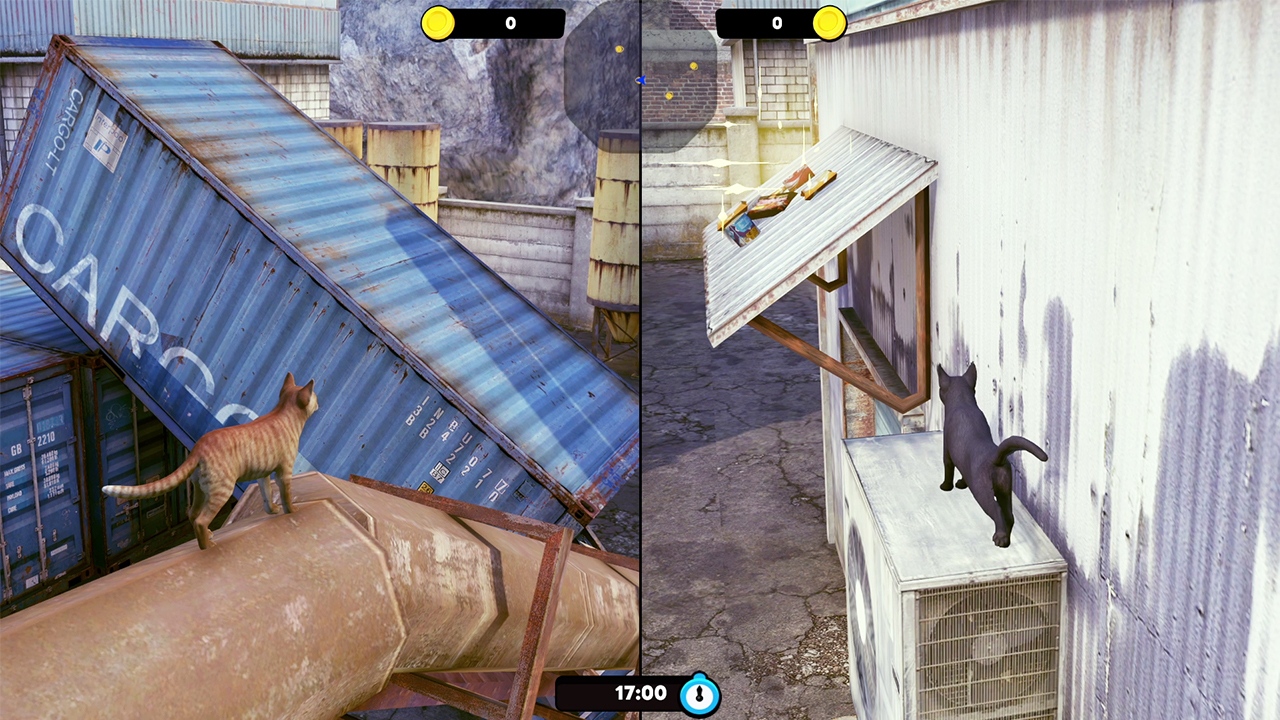 Little Strays 迷子の小さな子猫たち: Havana