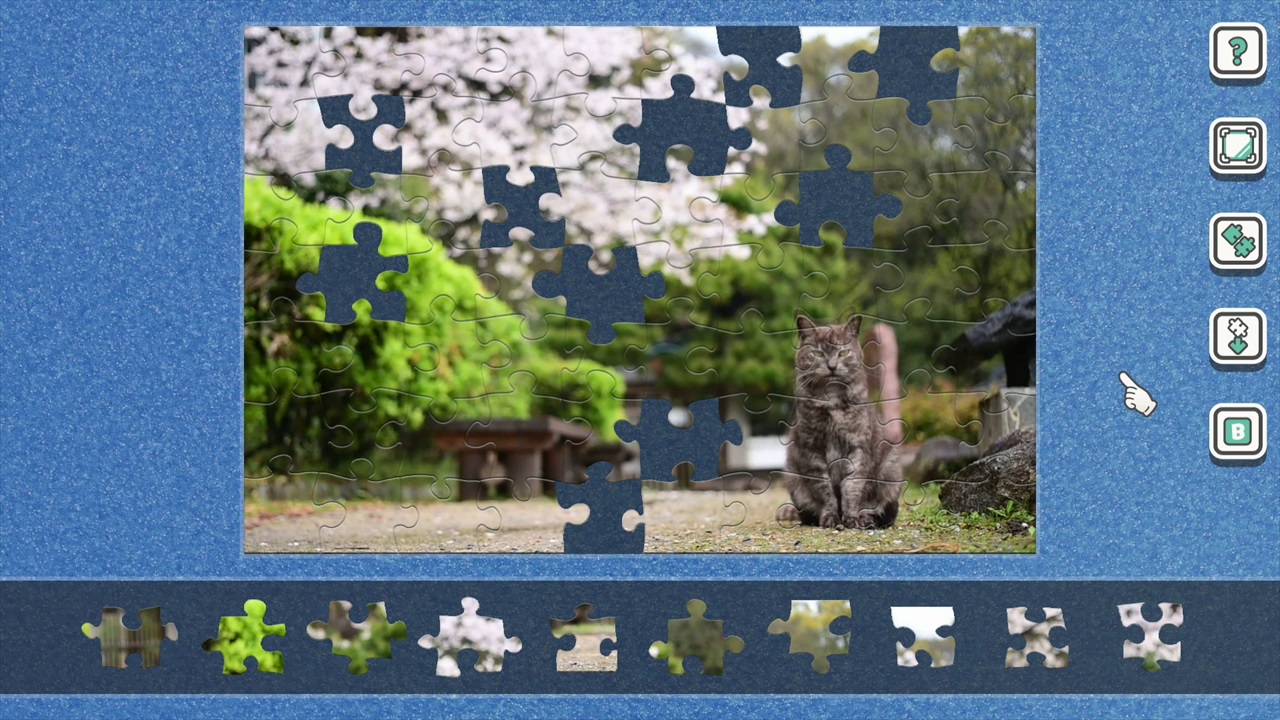 【動く】そとねこ