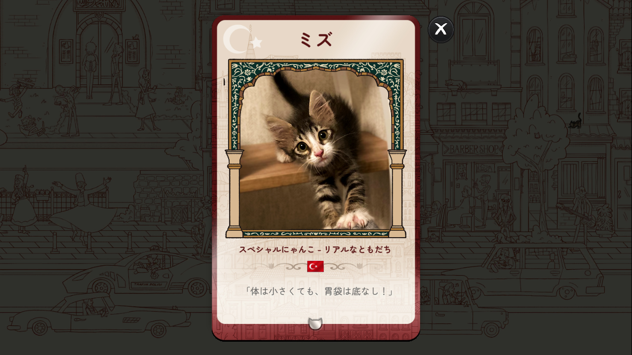 Hidden Cats in Istanbul