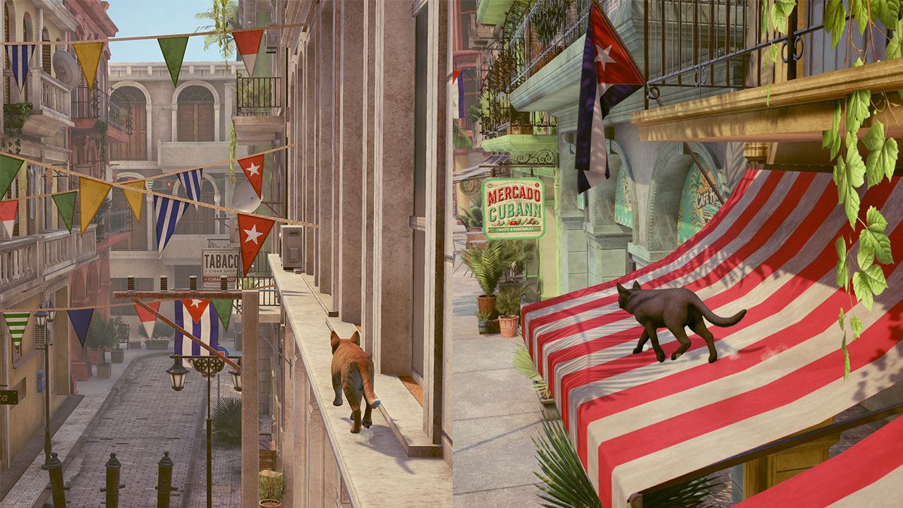 Little Strays 迷子の小さな子猫たち: Havana