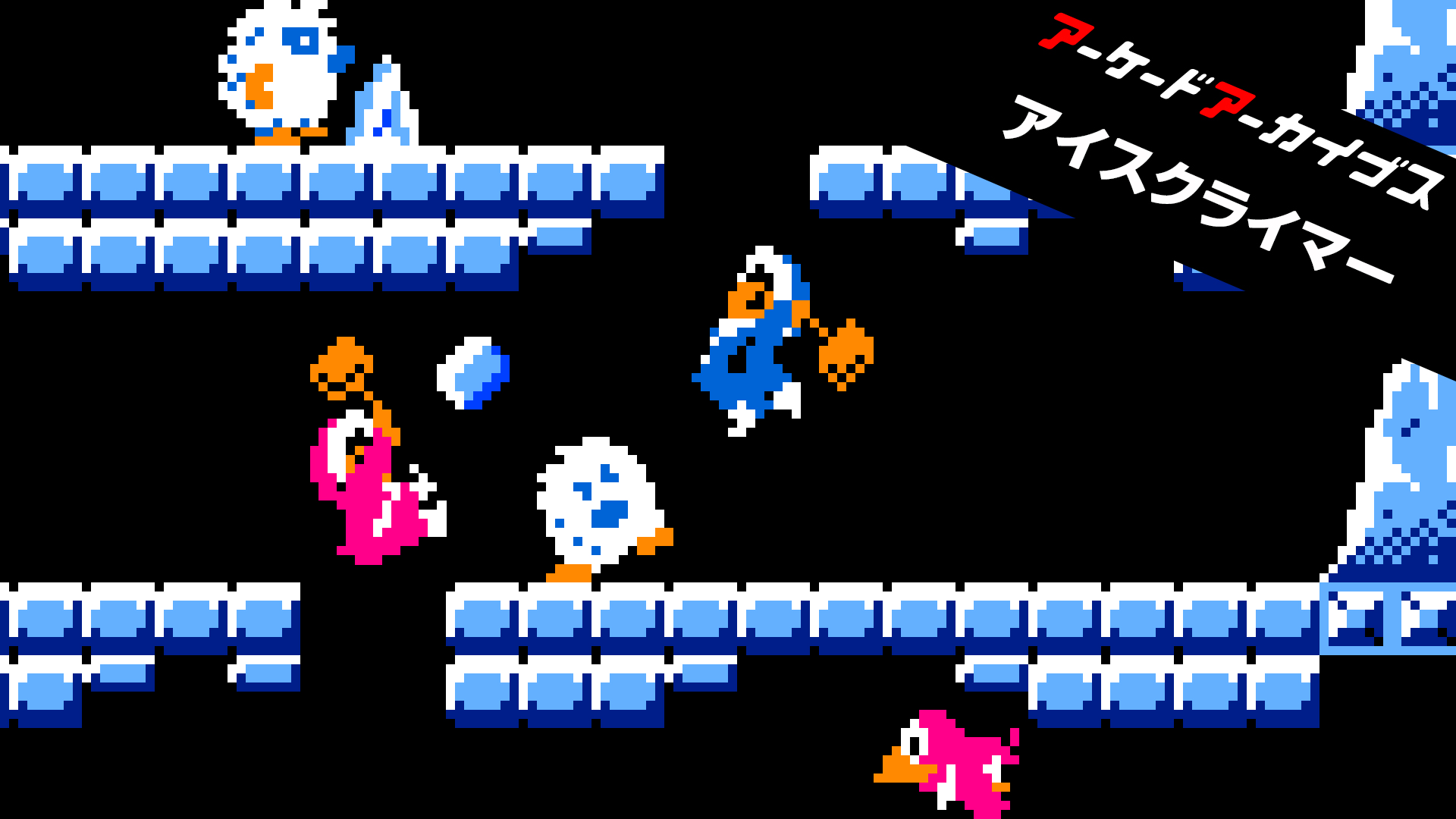 アーケードアーカイブス アイスクライマー | My Nintendo Store（マイ