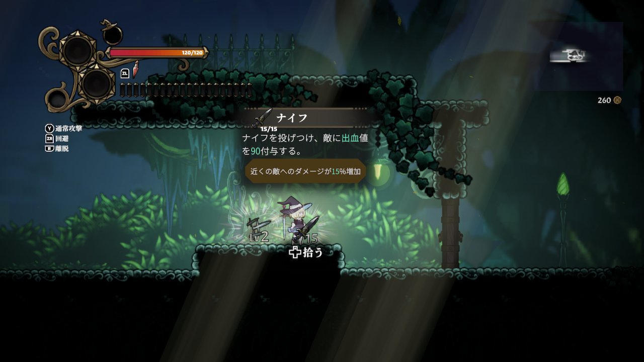 Never Grave: The Witch and The Curse | My Nintendo Store（マイ