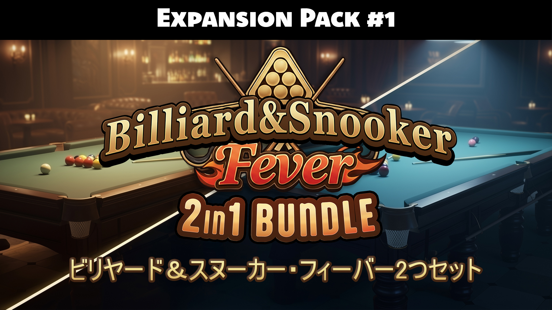 Billiard & Snooker Fever: 2 in 1 Bundle ビリヤード＆スヌーカー