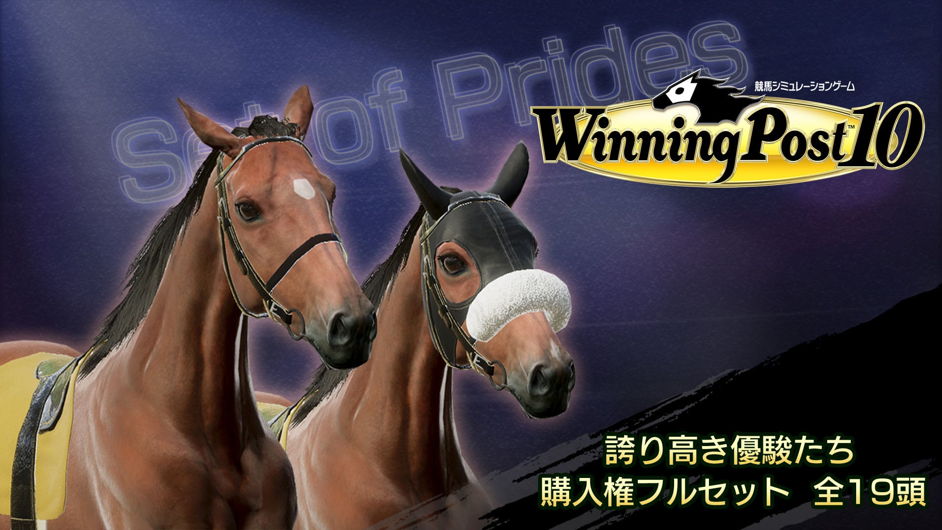 WP10 誇り高き優駿たち 購入権フルセット 全19頭 | Nintendo Store