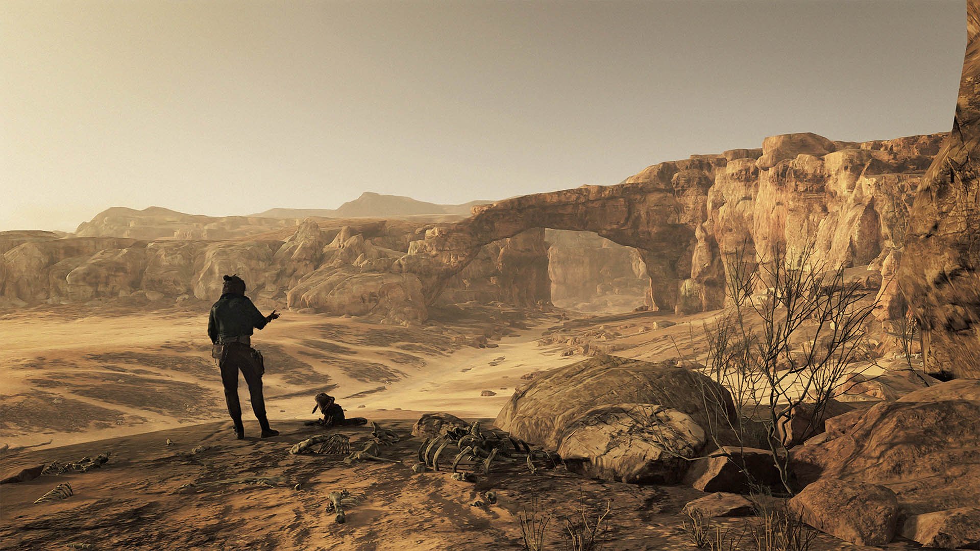 『スター・ウォーズ 無法者たち』ゴールドエディション