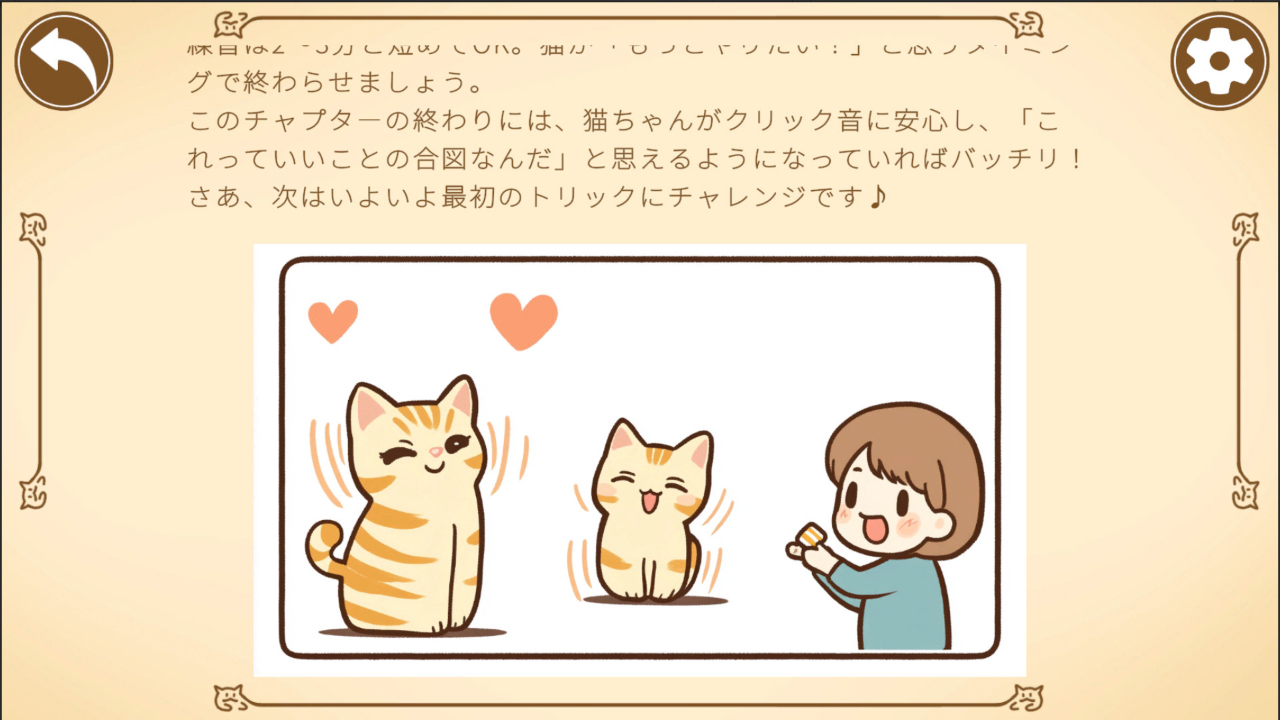 遊ぶねこのためのワザ