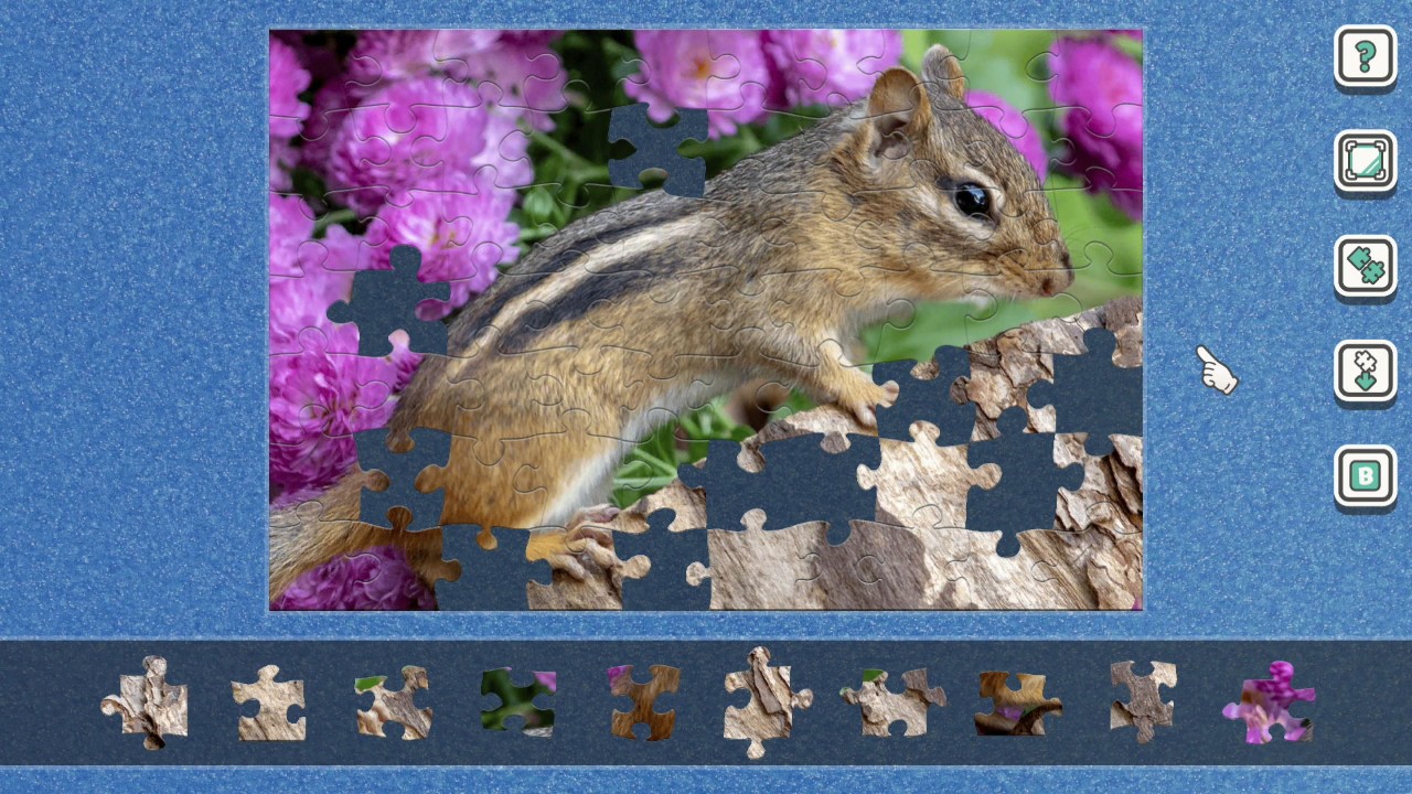 追加パズルパックセットVol.18