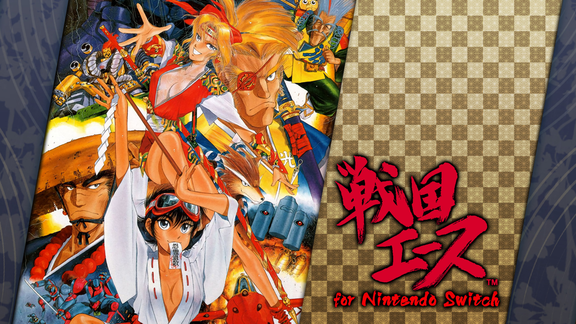戦国エース for Nintendo Switch | My Nintendo Store（マイ