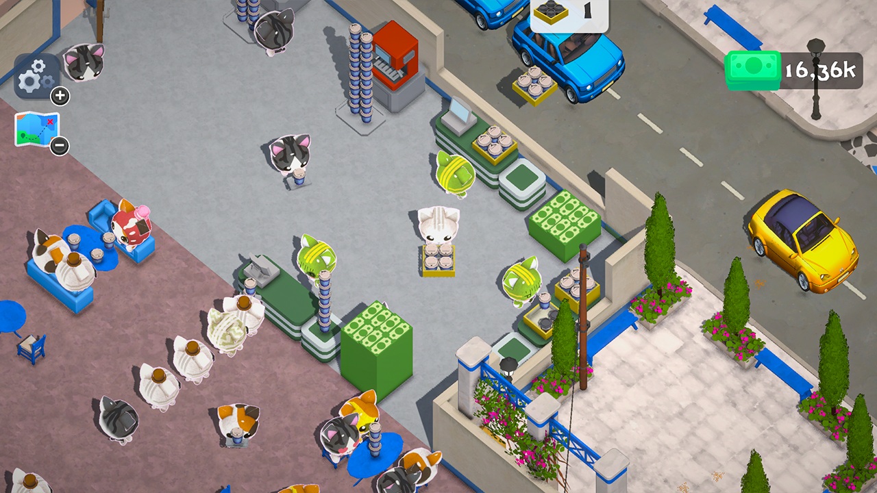 Cozy Cat Cafe