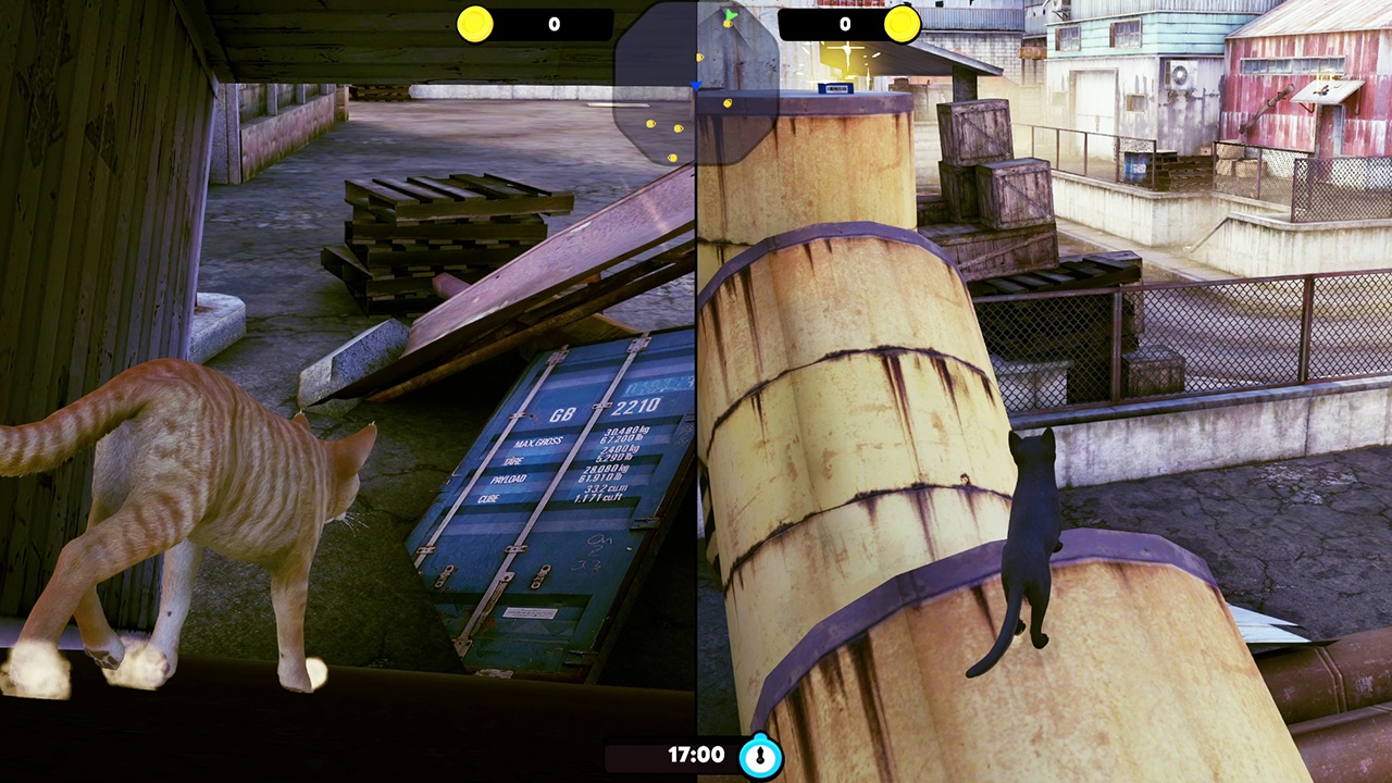 Little Strays "迷子の小さな子猫たち": Complete Edition