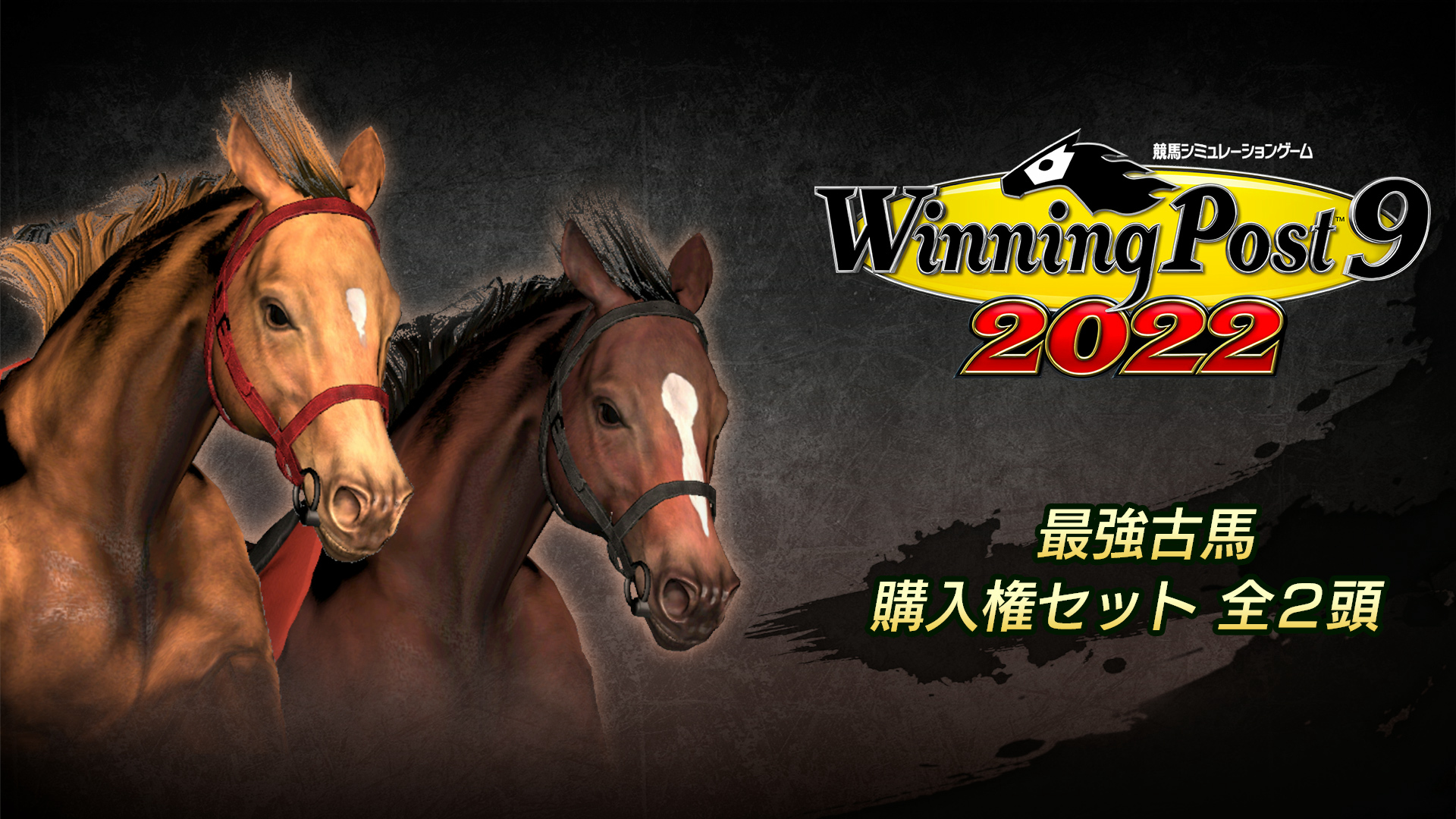WP9 2022 最強古馬 購入権セット 全2頭 | Nintendo Store