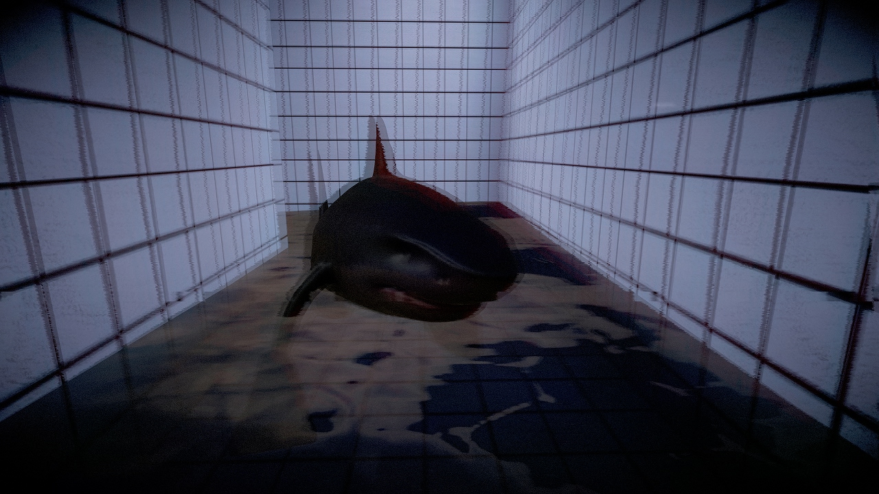  TRALALERO TRALALA BACKROOMS POOLS