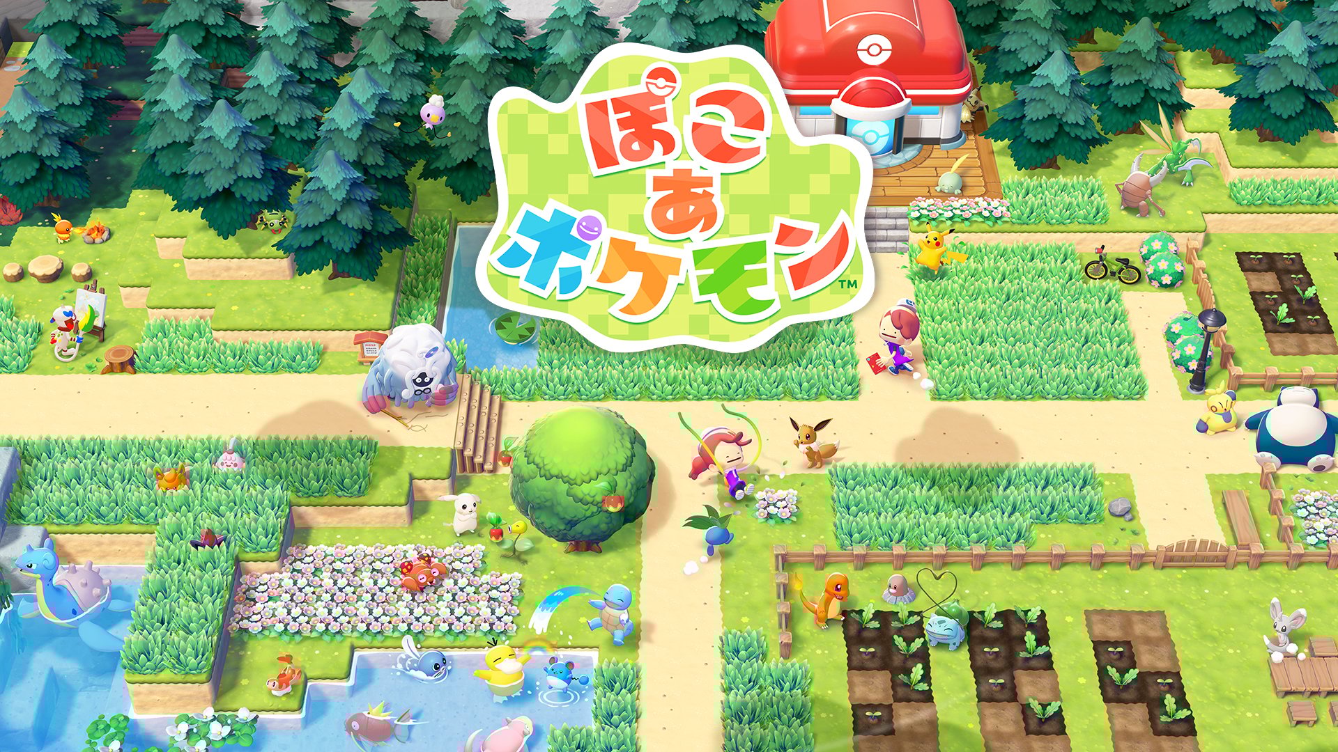 ぽこ あ ポケモン | My Nintendo Store（マイニンテンドーストア）