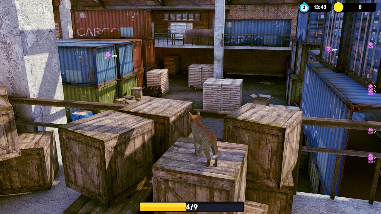 Little Strays 迷子の小さな子猫たち: Havana