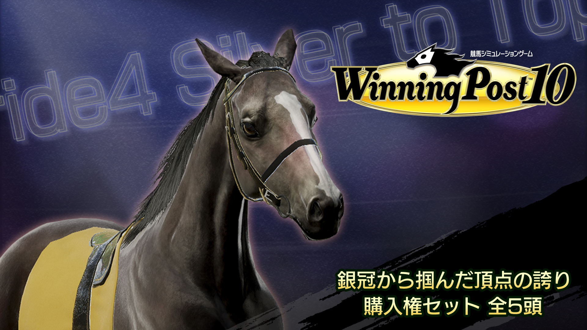 WP10 銀冠から掴んだ頂点の誇り 購入権セット 全5頭 | My Nintendo